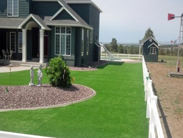 Artificial Grass Photos: Synthetic Pet Grass East Hemet California Landscape, Lawns